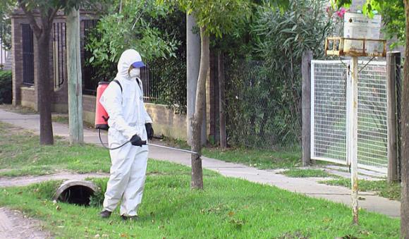 San Isidro: Cronograma semanal de fumigaciones (17 al 21/2)