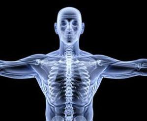 5 Mitos más del cuerpo humano