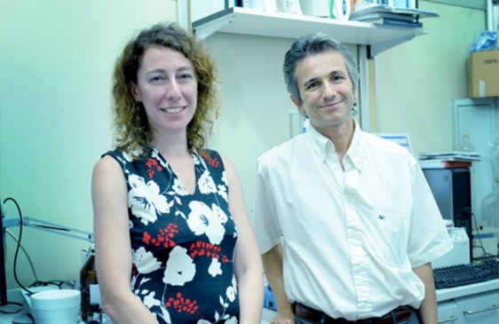 Científicos Argentinos, pioneros en la implementación de quimioterapia ocular