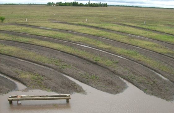 Investigadores Argentinos desarrollan un nuevo sistema para cosechar agua en cantidad y calidad