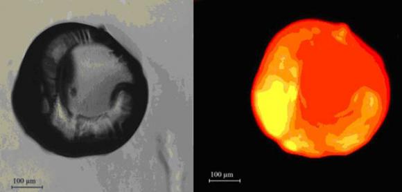 Cientificos Argentinos desarrollan “Parches” contra el cáncer