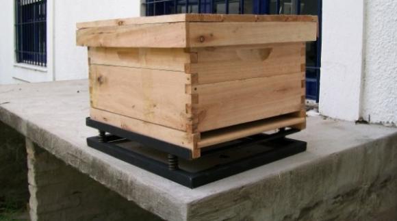 Desarrollan en Argentina un nuevo sistema para el monitoreo de la miel