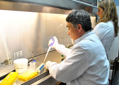 Investigadores Argentinos participaron en la secuenciación del genoma de una bacteria relacionada a una enfermedad venérea de los bovi‏nos