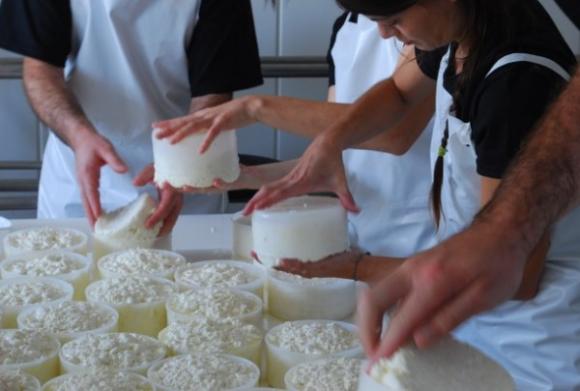 Cientificos Argentinos evaluan usar el residuo contaminante de la elaboración de ricota para producir biogas