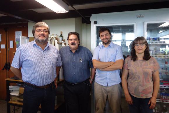 Caries: cientificos Argentinos descifran cómo las bacterias acumulan los azúcares