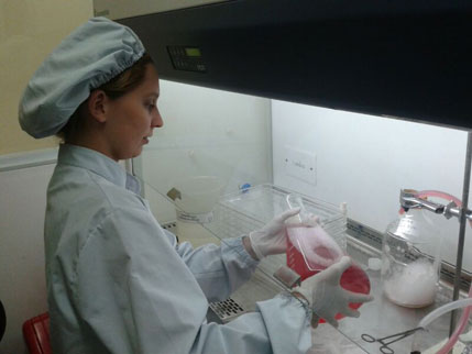 Cientificos del INTA avanzan en una vacuna Argentina contra la neosporosis bovina
