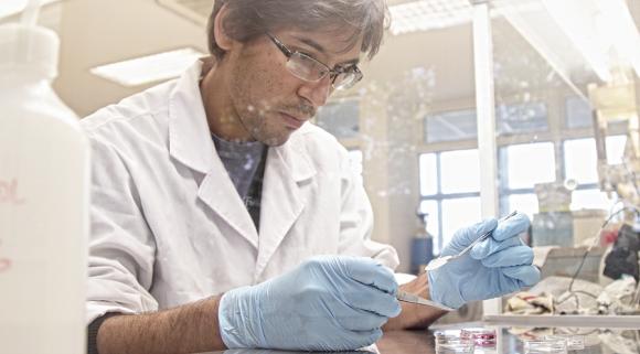 Investigadores Argentinos desarrollan un kit quirúrgico para la regeneración de la piel