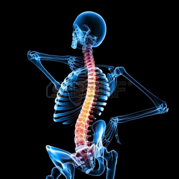 Científicos argentinos logran revertir el daño en la médula espinal