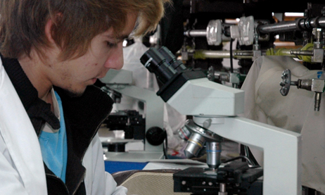 Investigadores Argentinos lograron identificar el tipo más agresivo del virus del papiloma humano (VPH)