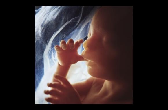 Una gran verdad olvidada a propósito de la niña de 13 años embarazada cuya madre exige le practiquen el aborto