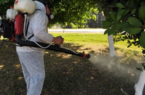 Cronograma de fumigaciones en San Isidro (12 al 23-mayo)