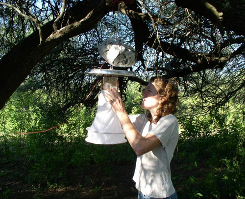 Cientificos Argentinos identifican sustancias repelentes del mosquito de la malaria