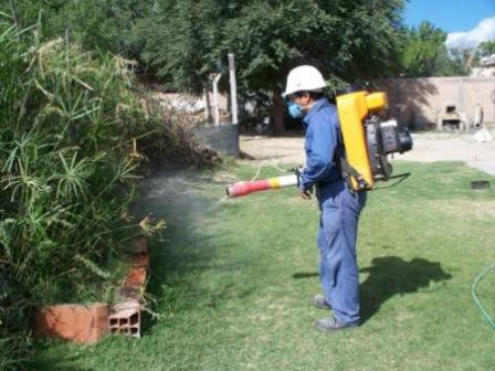 Cronograma de fumigaciones (02 al 06-06) en San Isidro