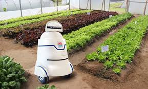 Cientificos Argentinos del INTA presentan un robot para anticipar la tolerancia a la sequía