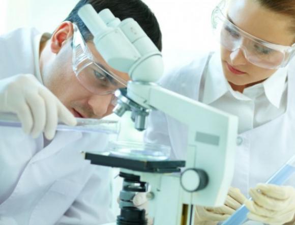 Avances contra el cáncer de mama, próstata y colon