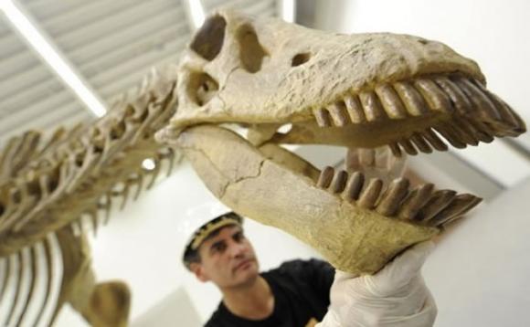 Científicos Argentinos reescriben las hojas del pasado prehistórico
