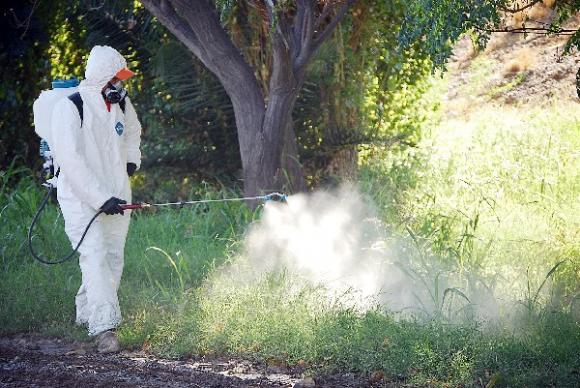 San Isidro: Cronograma de fumigaciones (9 al 13-6)