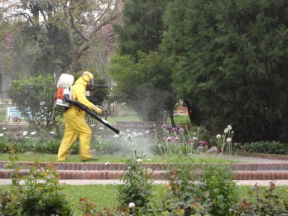 San Isidro: Cronograma semanal de fumigaciones