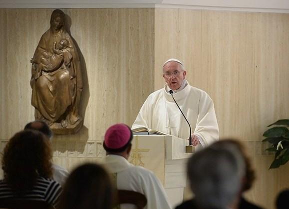 Francisco: San Juan preparó el camino a Jesús, sin tomar nada para él