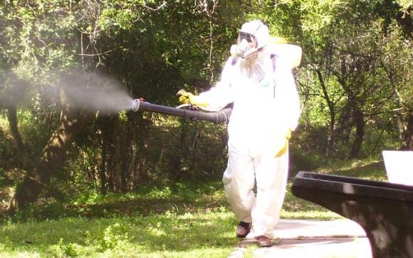 San Isidro: Cronograma de fumigaciones del 30-06 al 11-07