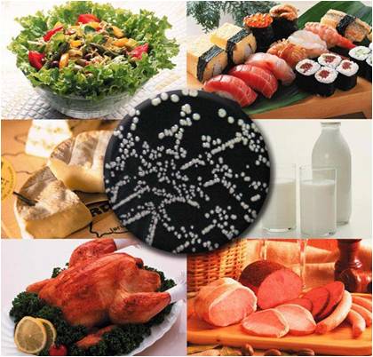 Los 10 principales parásitos transmitidos por los alimentos