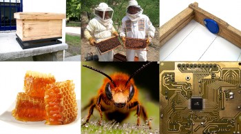 Ingenieros Argentinos desarrollan un sistema de trazabilidad para la actividad apícola