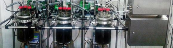 Digestión anaerobia de microalgas para la producción de biogás y el tratamiento de residuos en biorrefinerías