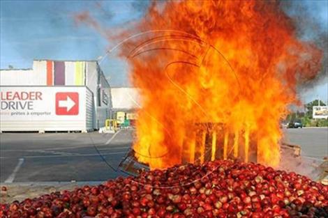 Piden sanciones a Francia por el ataque a camiones españoles cargados de fruta