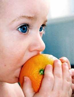 El recuerdo del sabor y el sabor del recuerdo