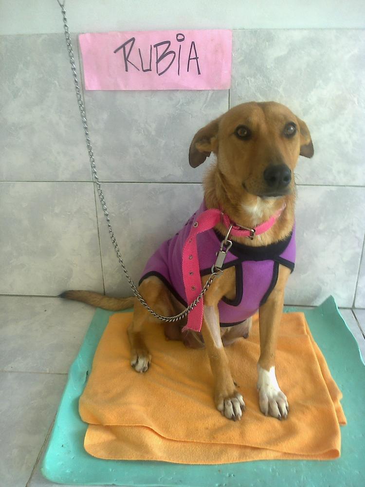 RUBIA
