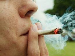 Legalización de la marihuana: expertos advierten sobre el peligro de legalizar su consumo