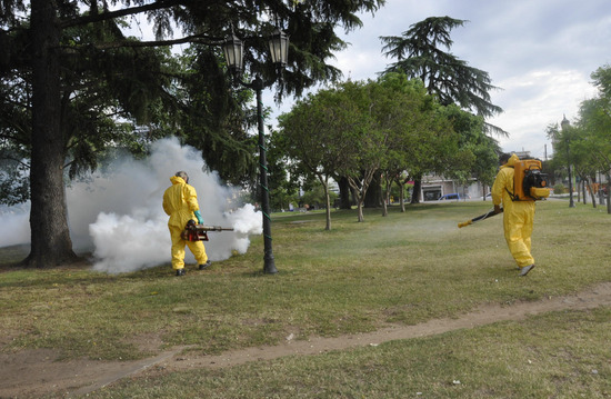 San Isidro: Cronograma de fumigaciones (28/07 al 08/08)