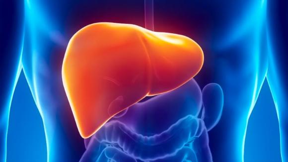 Alertan sobre el alto subdiagnóstico de las hepatitis virales