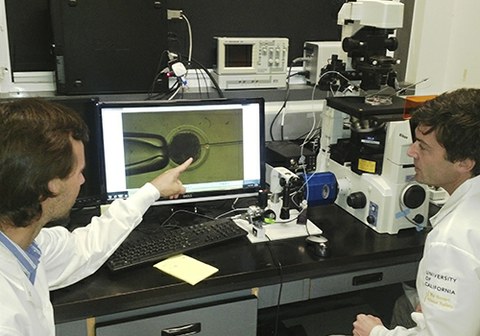 Investigadores argentinos buscan desarrollar leche hipoalergénica