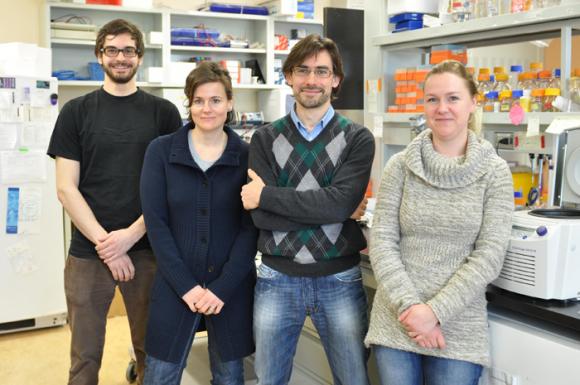 Cientificos Argentinos y extranjeros identifican mecanismo clave del sistema inmune