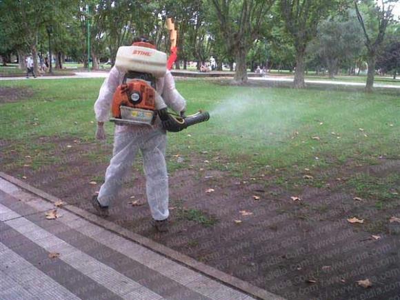 San Isidro: Cronograma semanal de fumigaciones