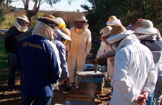 Cientificos Argentinos del INTA crean el primer producto orgánico del mundo que elimina la varroa‏