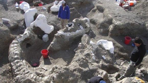 Descubren un dinosaurio gigante en la Patagonia