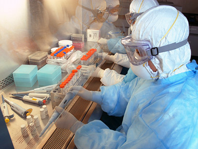 Vacuna experimental contra el ébola funcionó en primates