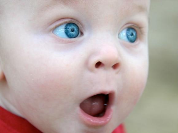 10 Datos curiosos sorprendentemente reales