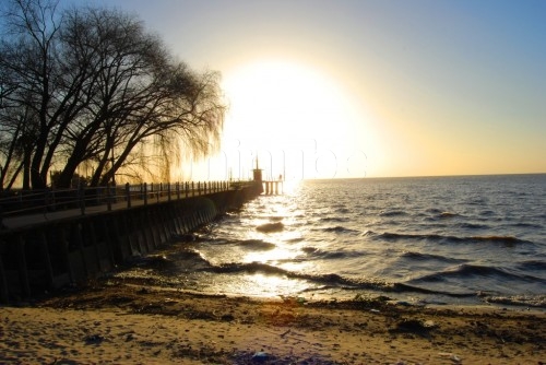 Mi Martínez querido