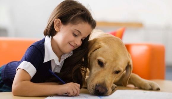 Los niños, principales víctimas de las mordeduras de perros