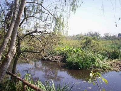 Reserva Ecológica Municipal de San Isidro