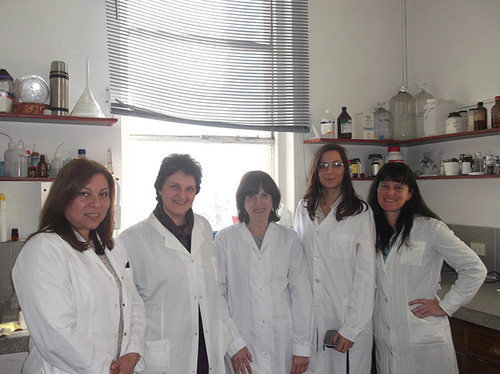 Investigadoras Argentinas demuestran que el ruido afecta el sistema inmune