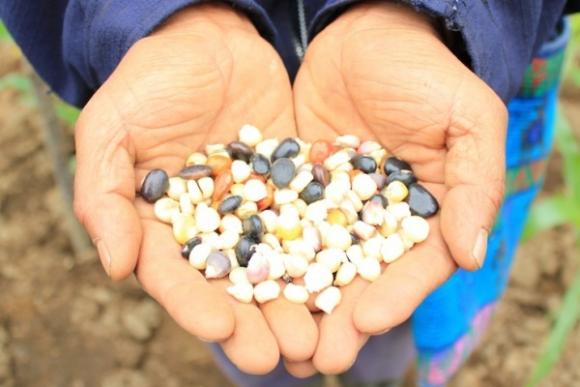 Abrirse para construir la paz