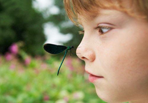 Ronchas y Picaduras de verano, ¿Cómo afectan a los más pequeños?