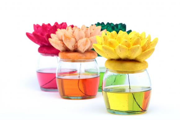 Productos Aromáticos en el Puerto de Frutos de Tigre