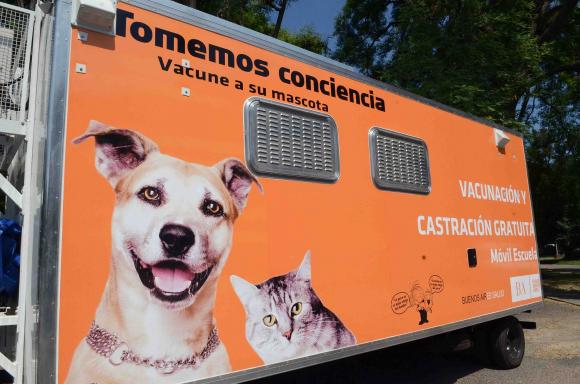 Utilizan quirófano ambulante para castrar perros y gatos