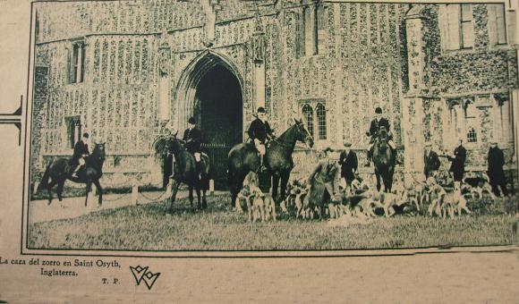 Perros de caza