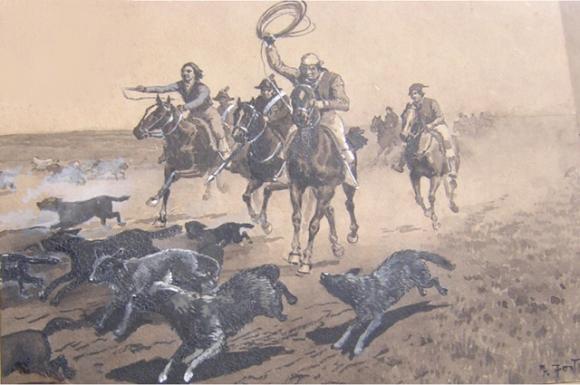 Perros cimarrones
